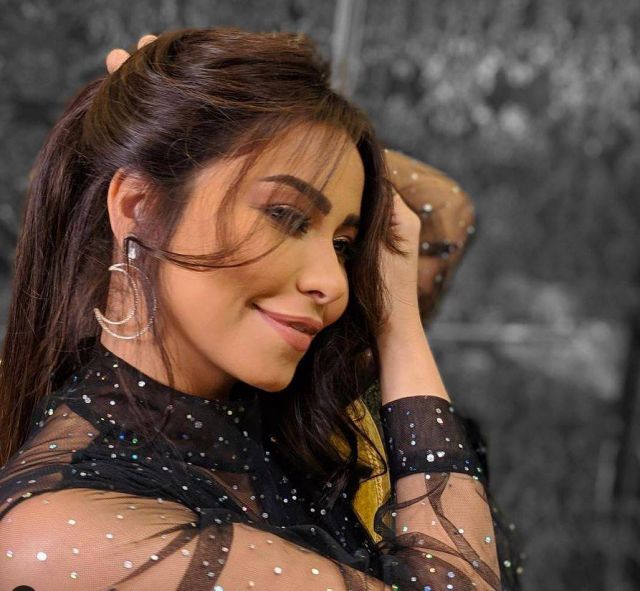 بالفيديو – بعد اتهامها بالإساءة لمصر... والدة شيرين عبد الوهاب تخرج عن صمتها وتدافع عنها