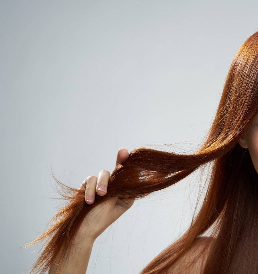 معجب يشتري خصلة من شعر هذه الفنانة بمبلغ خيالي... يفوق كل التصورات