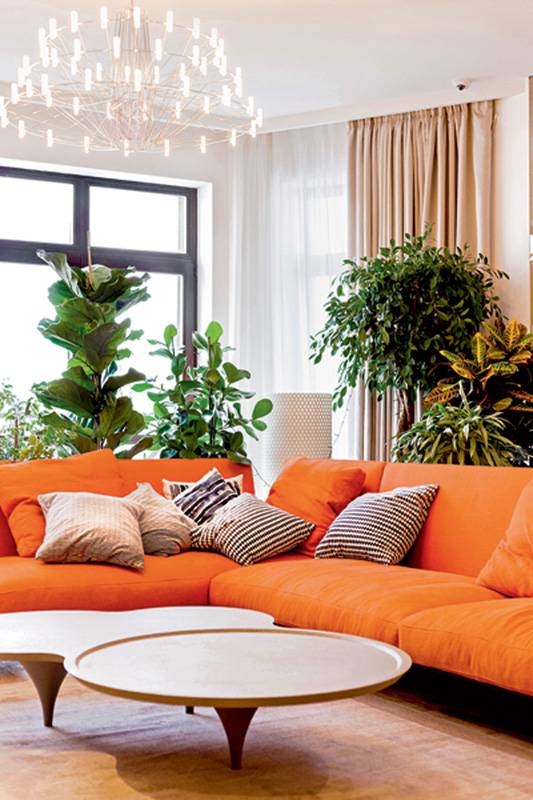 ألوان منعشة لأفكار واضحة:
اللون لغة مرئية تقرأها القلوب