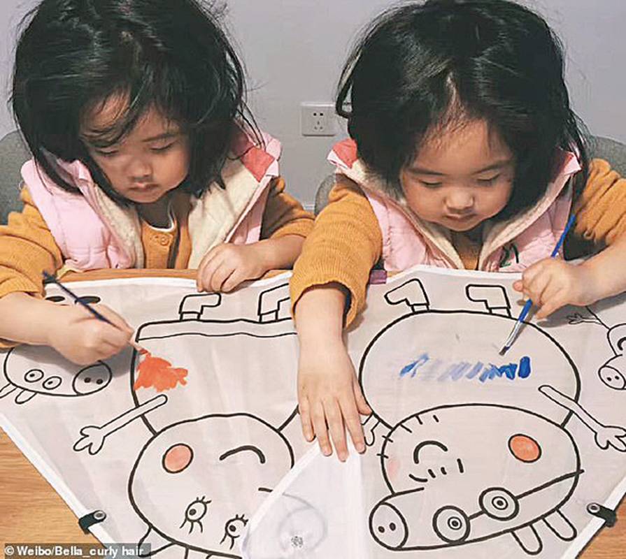 هل تحقق الملكة إليزابيت حلم توأم صيني؟