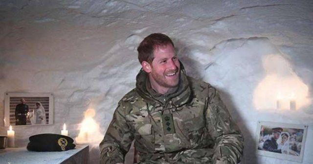 الامير هاري