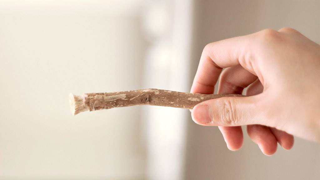 تناول الطعام بين الوجبات يزيد الوزن... هكذا تتجنّبينه بعود مسواك