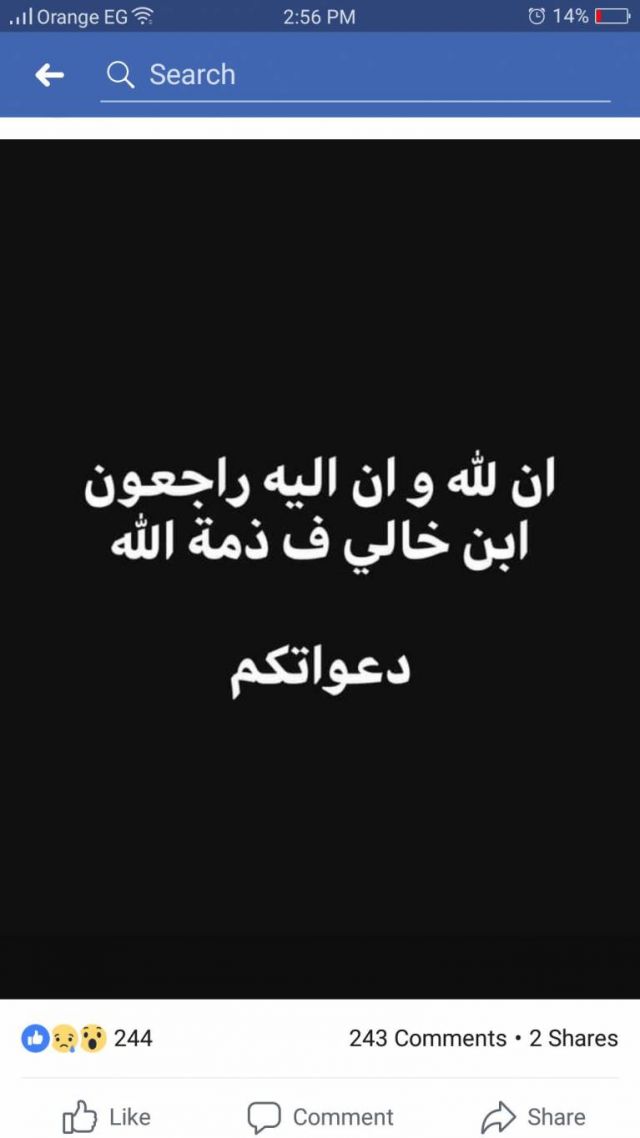 ما نشرته هايدي موسى