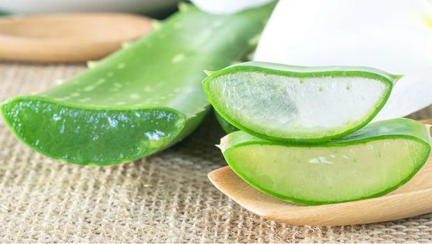 بالفيديو - الألوفيرا لتفتيح البشرة وصد علامات الشيخوخة وفوائد جمالية لا تحصى