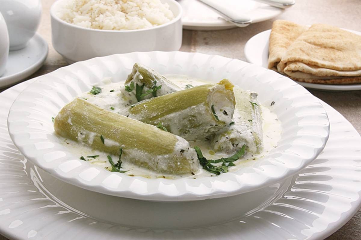 كوسا باللبن