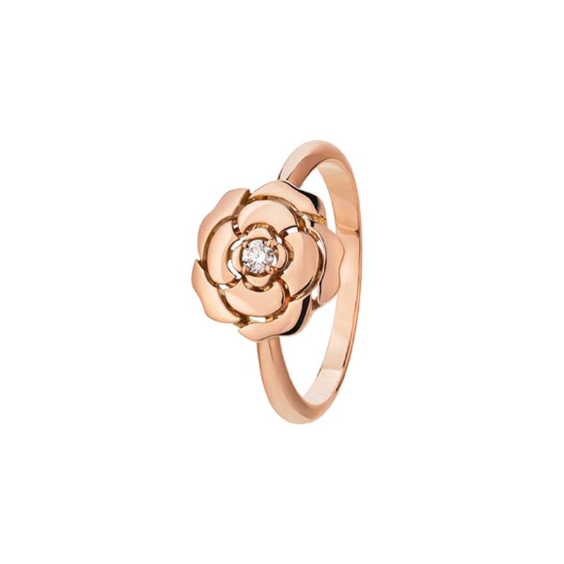 J11661-Bague-Extrait-de-Cam J11661-Bague-Extrait-de-Cam