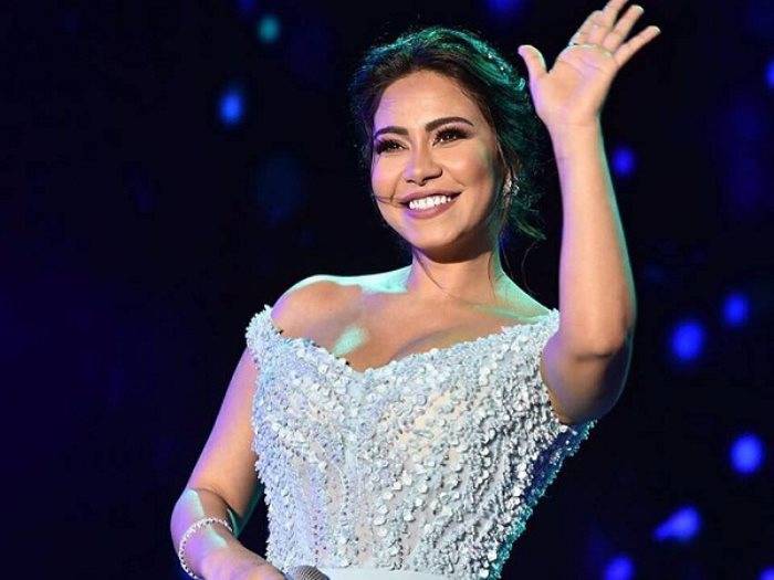 بالفيديو - شيرين تكشف سر مكالمة نجم عالمي لها بعد أزمتها.. وهذا ما قالته عن انجابها طفل!؟