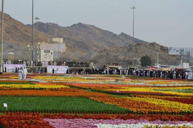 بالصور - أكبر سجادة في مكة من مليون زهرة ملوّنة