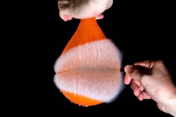 ماما لماذا ينفجر البالون عندما أغرز فيه الدبوس أو آلة حادة؟