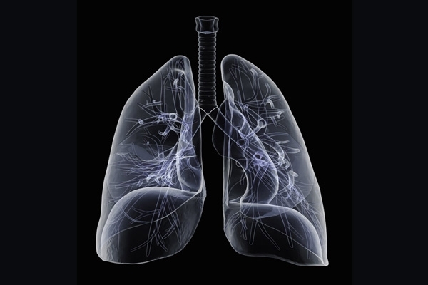 القلب لا يتوقف