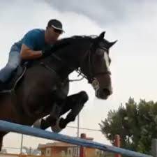بالفيديو - شاهدوا أحمد السقا يقفز بالحصان فوق حاجز خطير