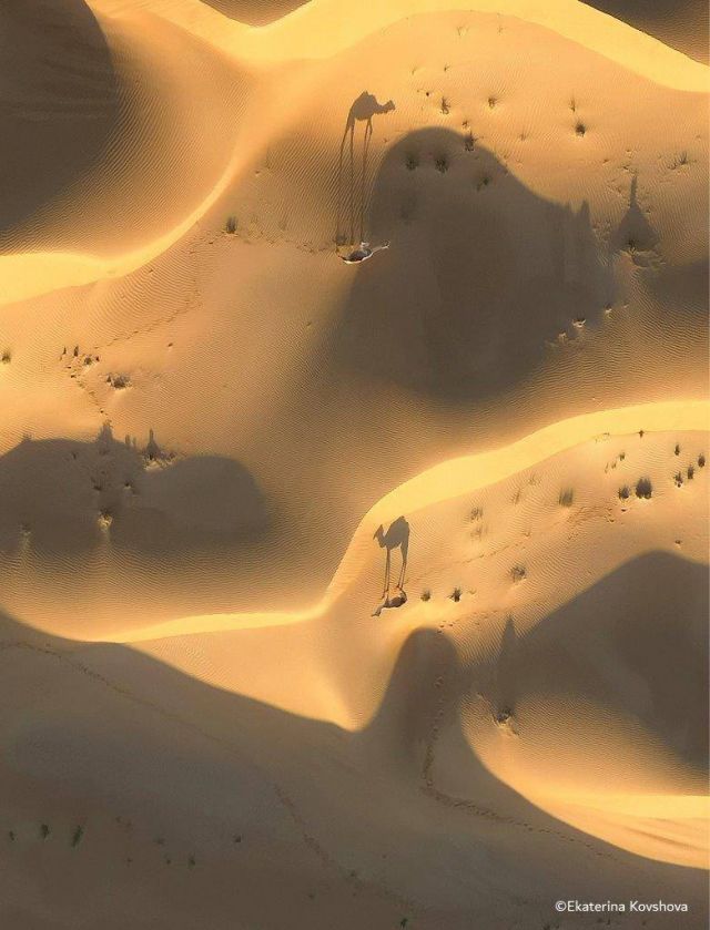 Ekaterina Kovshova (Nature) Shot on HUAWEI Mate 20 Pro