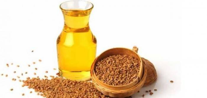 زيت الحلبة للعناية بالشعر في رمضان.. وهذه المنافع