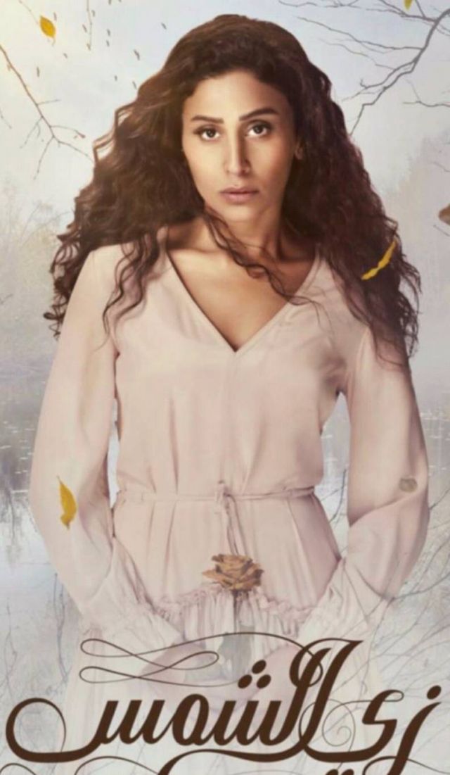 حرب كلامية عنيفة وإهانات بسبب دينا الشربيني.. إليكم تفاصيل ما حصل