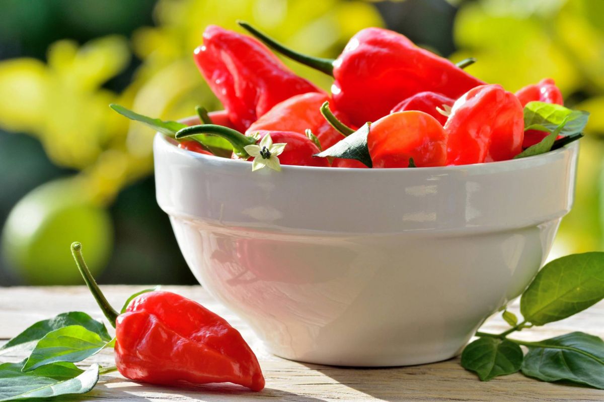 حيل سحرية لتخفيف المذاق الحارق للأطباق الحارة