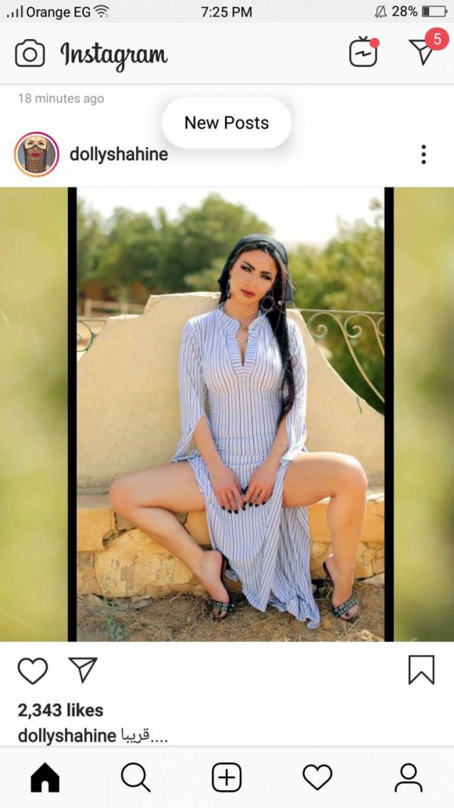 دوللي شاهين