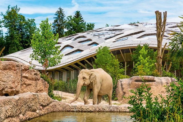 حديقة الحيوانات