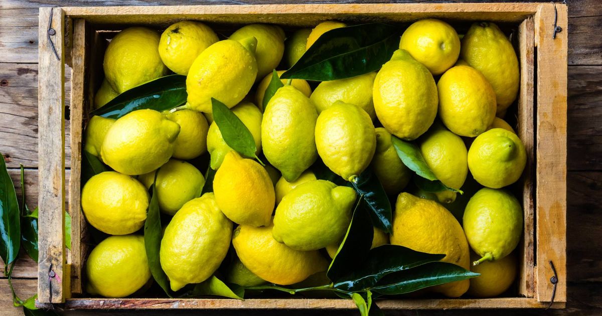 أخيراً إليك طريقة حفظ حبات الليمون لمدة طويلة من دون تعفن... جربيها