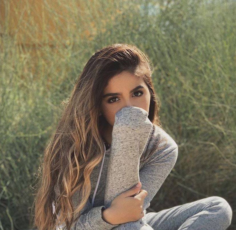 بالصورة – اجتماع مفاجئ لدنيا بطمة وحلا الترك... هل عادت الأخيرة إلى حضانة والدها؟