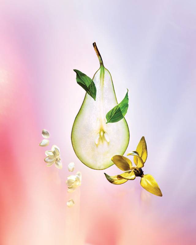 Louis Vuitton
عطر بقلب نابض
Coeur Battant