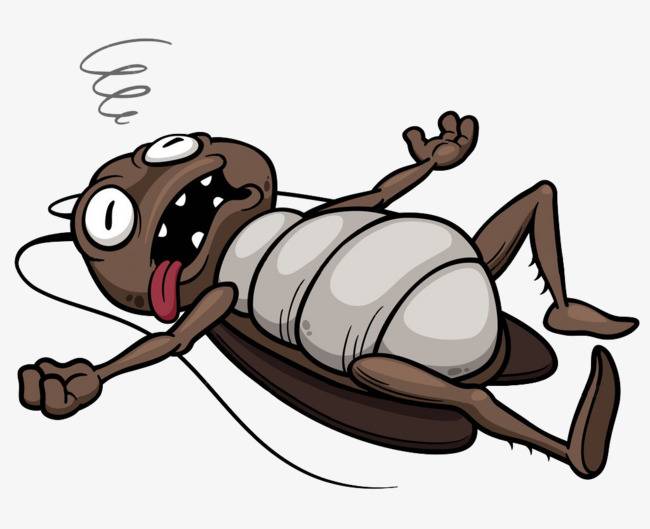 هذه الخلطة سهلة التحضير تبعد الصراصير عن منزلكم والمطبخ نهائياً