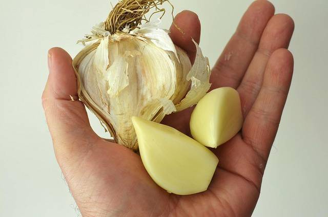 ماذا تفعل حبات الثوم بجسمك إذا تناولتها صباحاً؟