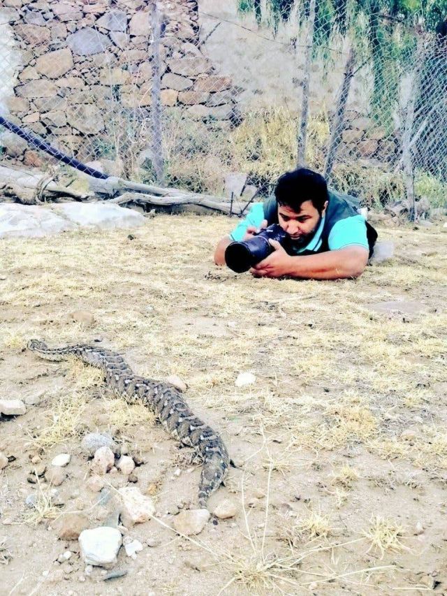 سعد آل مداوي