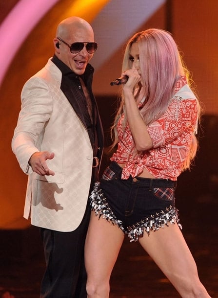 Pitbull Pitbull