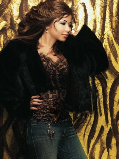 الإنترنت يسرق شيرين