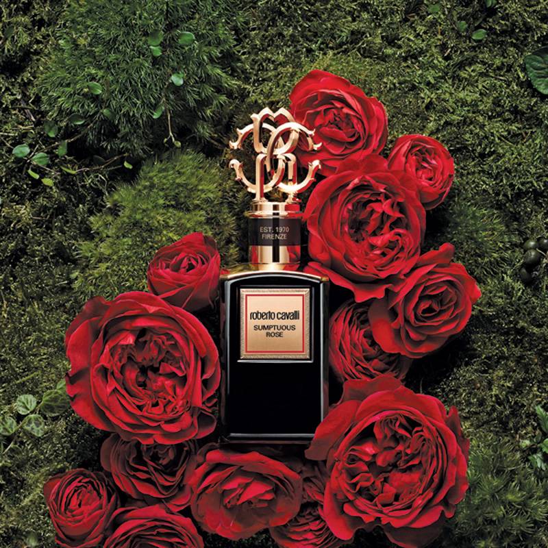 ROBERTO CAVALLI
Gold Collection 2019