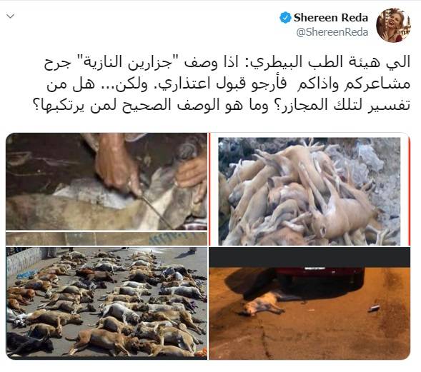 تغريدة شيرين رضا