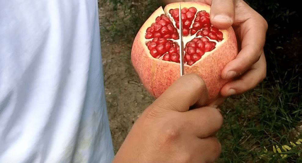 أسهل طريقة لاختيار الرمان السليم ولتقشيره في أقل من دقيقة