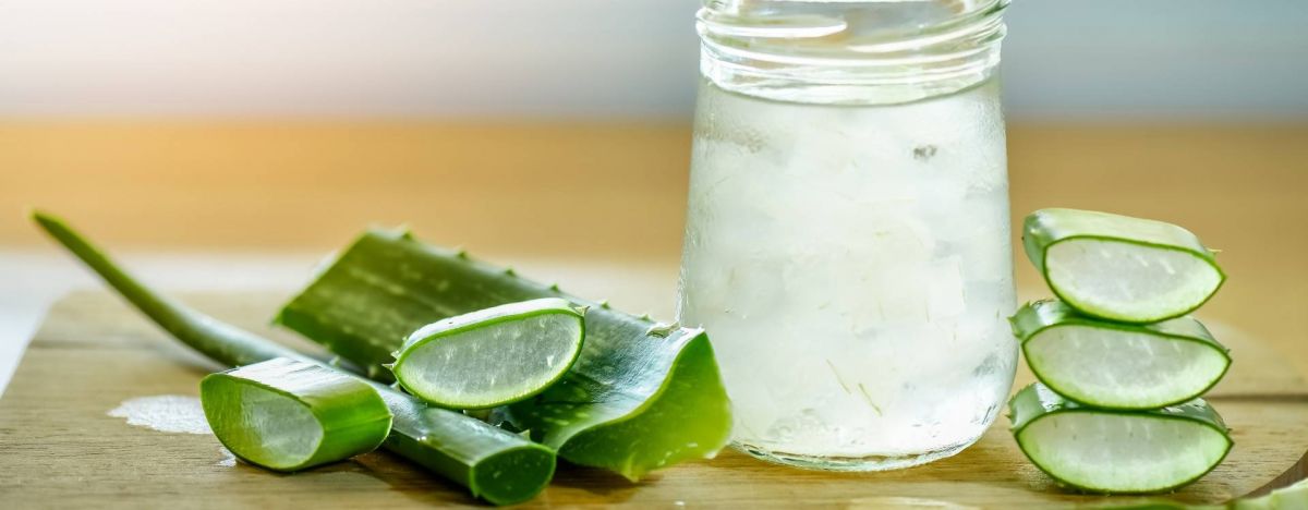 هكذا تساعدك الألوي فيرا على خسارة الوزن وحرق الدهون