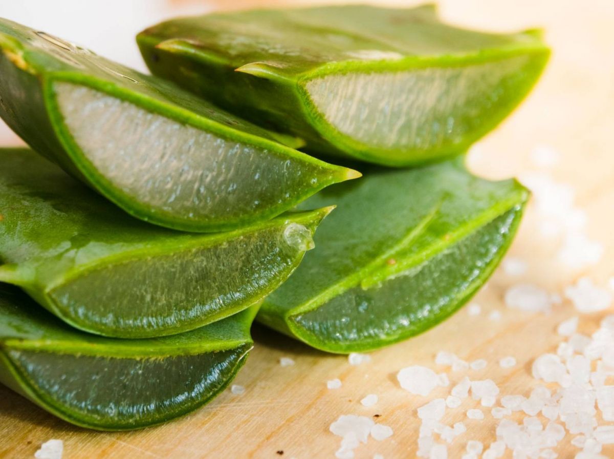 أردات إثبات فوائد الألوي فيرا فأصيبت بالتسمم في بث مباشر