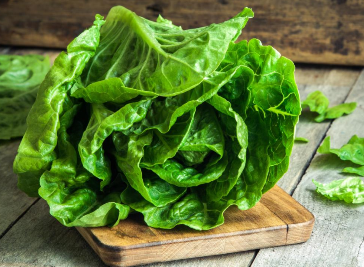 إليك وصفة شراب الخس التي تساعد على حرق الدهون