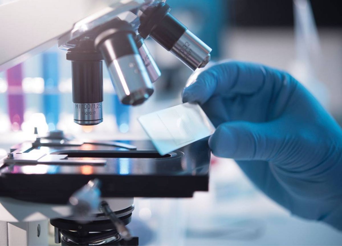 هل تعرفون الفرق بين الفيروس والبكتيريا؟