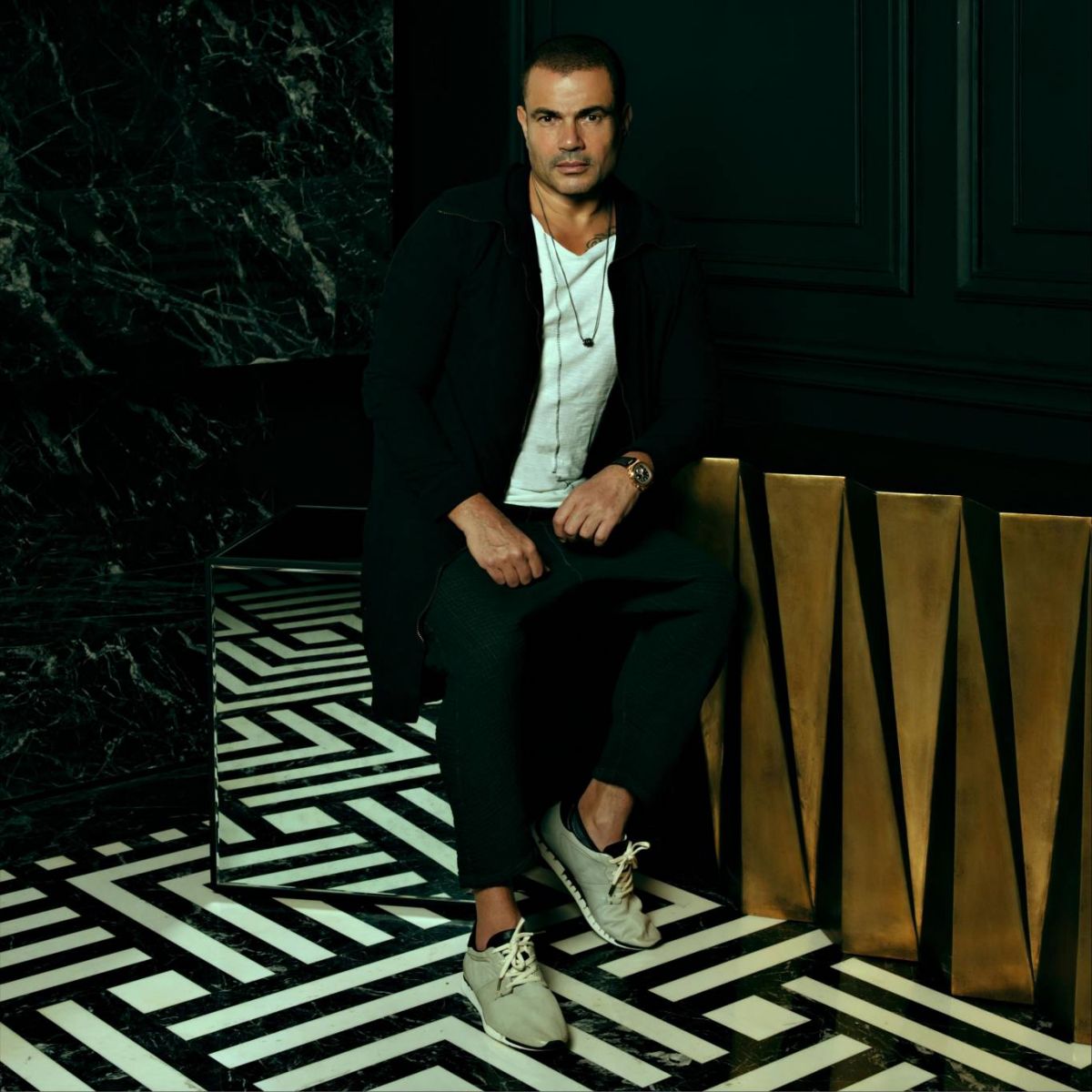 جمهور عمرو دياب وتامر حسني يطالبونهما بحفلات لايف