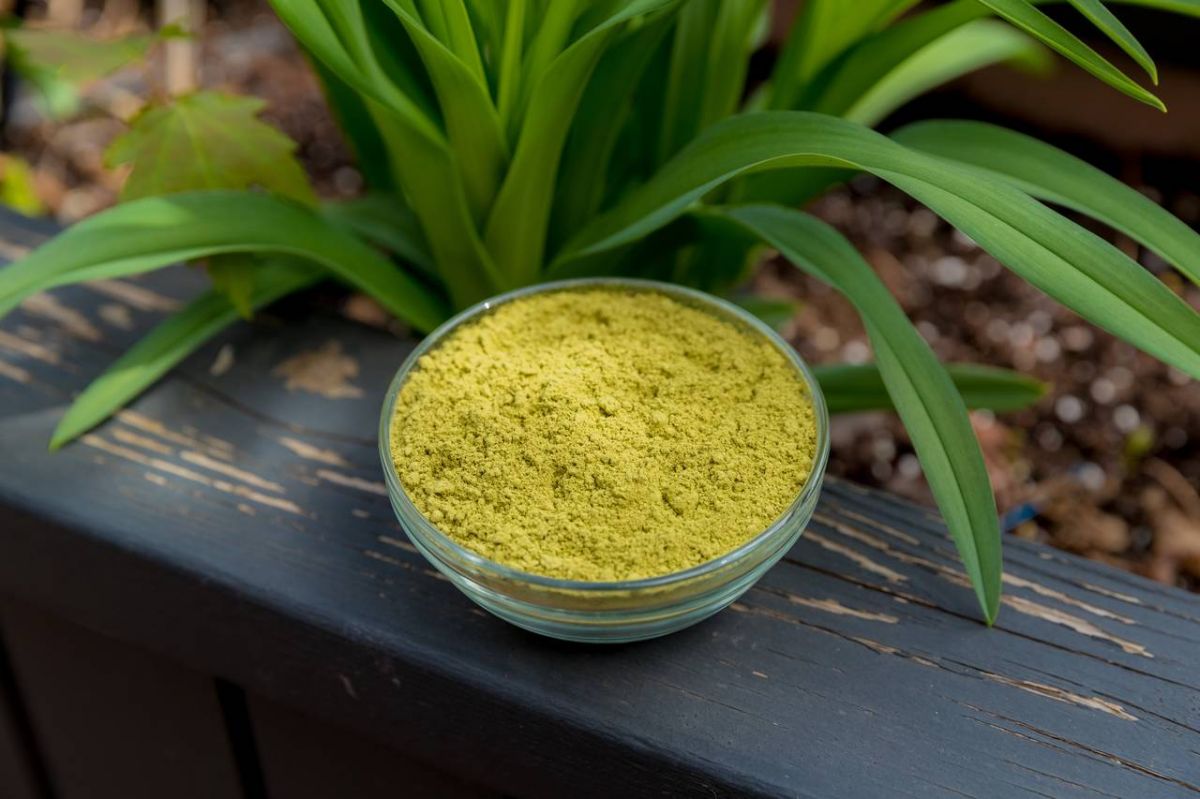 استخدامات لا تعرفينها للحناء... هذا ما يجب إضافته إليها لحل مشاكل الشعر