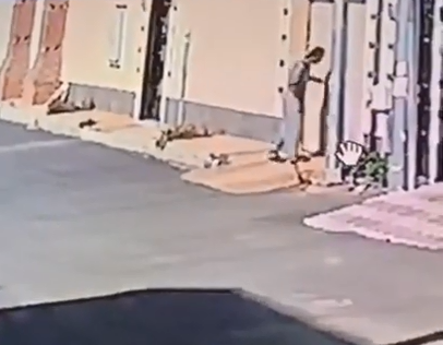 بالفيديو - القبض على سعودي 