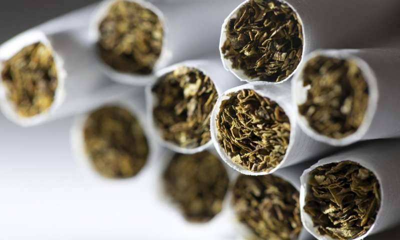 فرضية غريبة - هل يمنع النيكوتين دخول فيروس كورونا إلى الخلايا؟