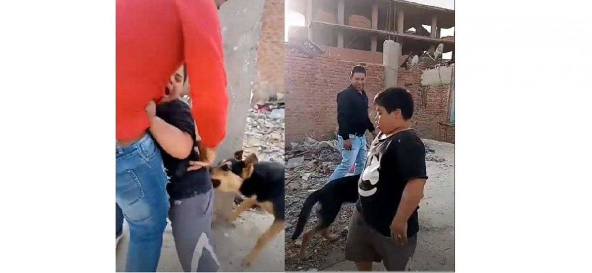 بعد ترويعهما ابنه بالكلاب.. والد الطفل يدافع عنهما أمام النيابة!