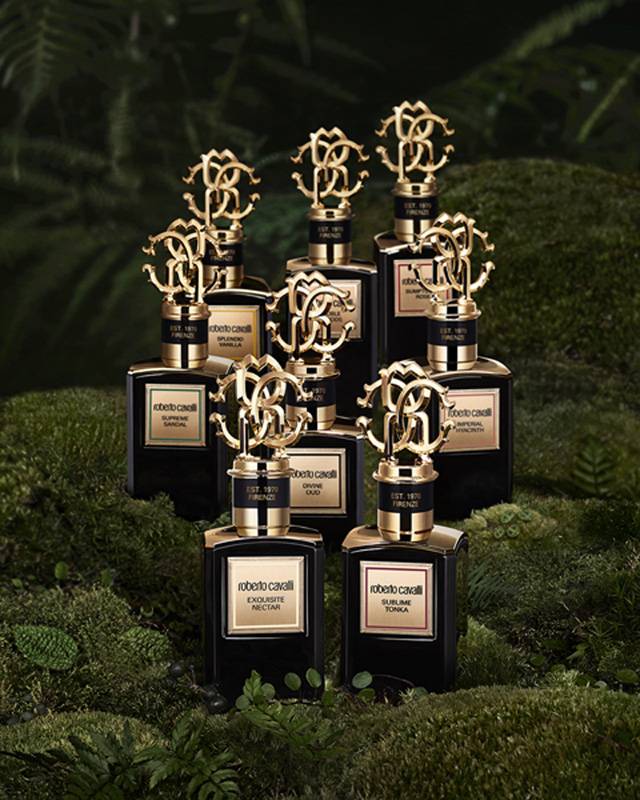 تعطري بالفخامة مع مجموعة روبرتو كافالي 
