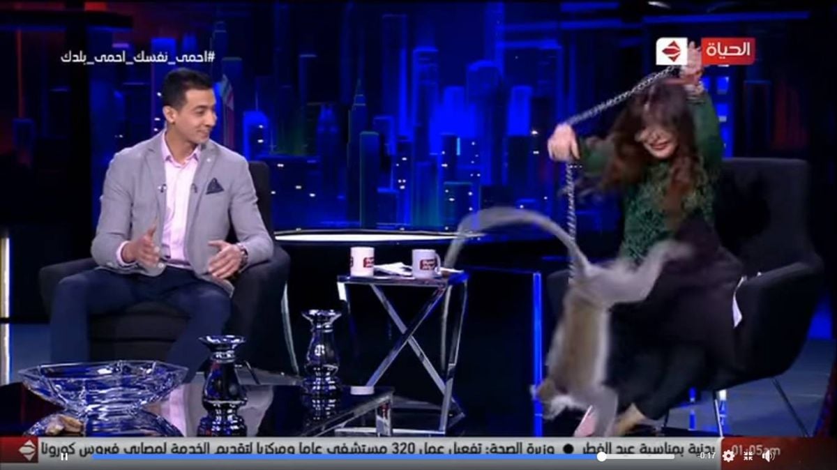 بالفيديو - قرد يهاجم المذيعة لبنى عسل على الهواء
