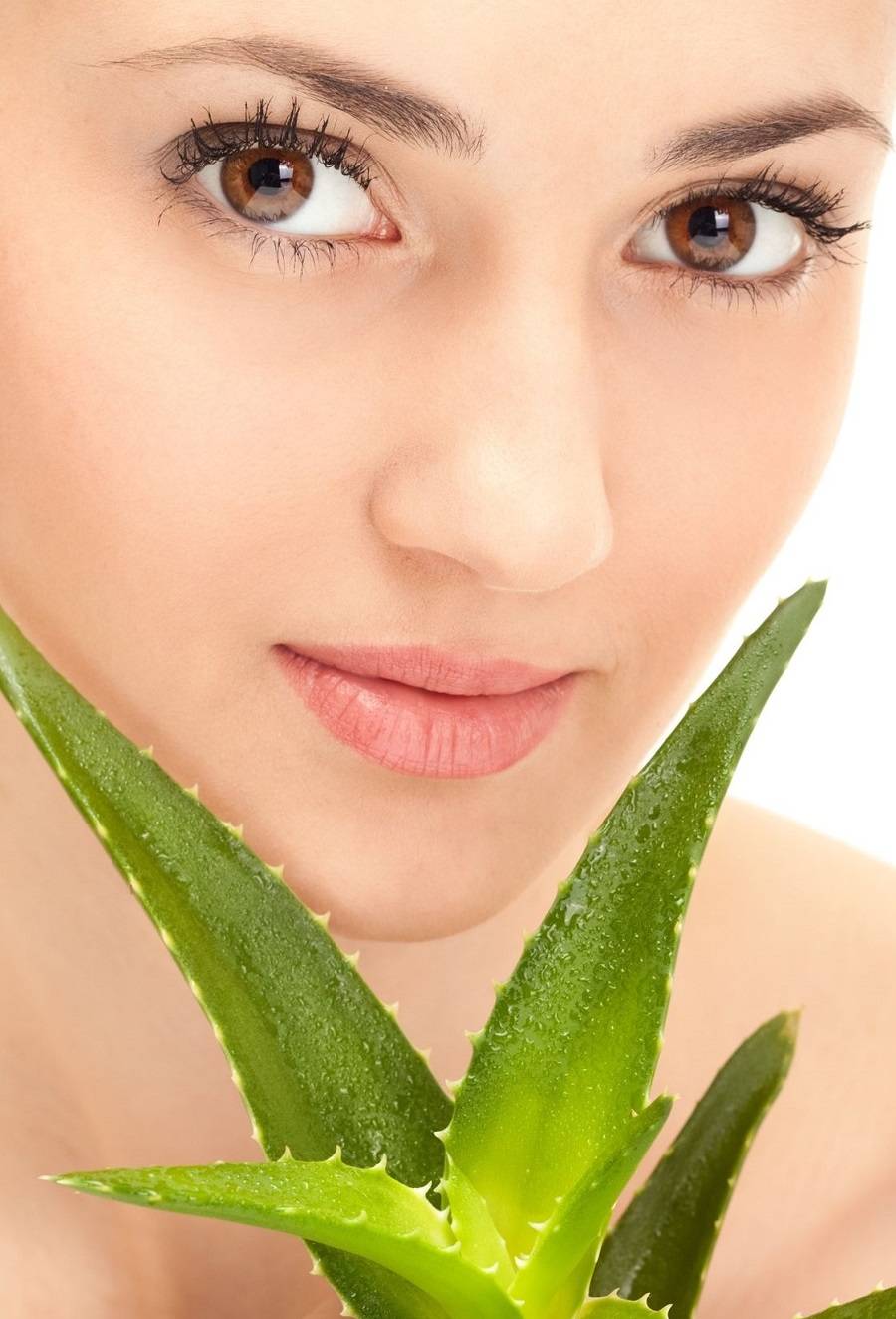 اكتشفي سر وصفة الألوي فيرا لتسريع عملية الهضم ومنع زيادة الوزن