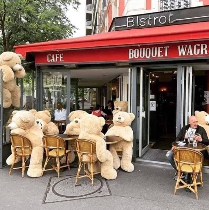 دببة قطنية في مقاهي باريس لمنع الازدحام!