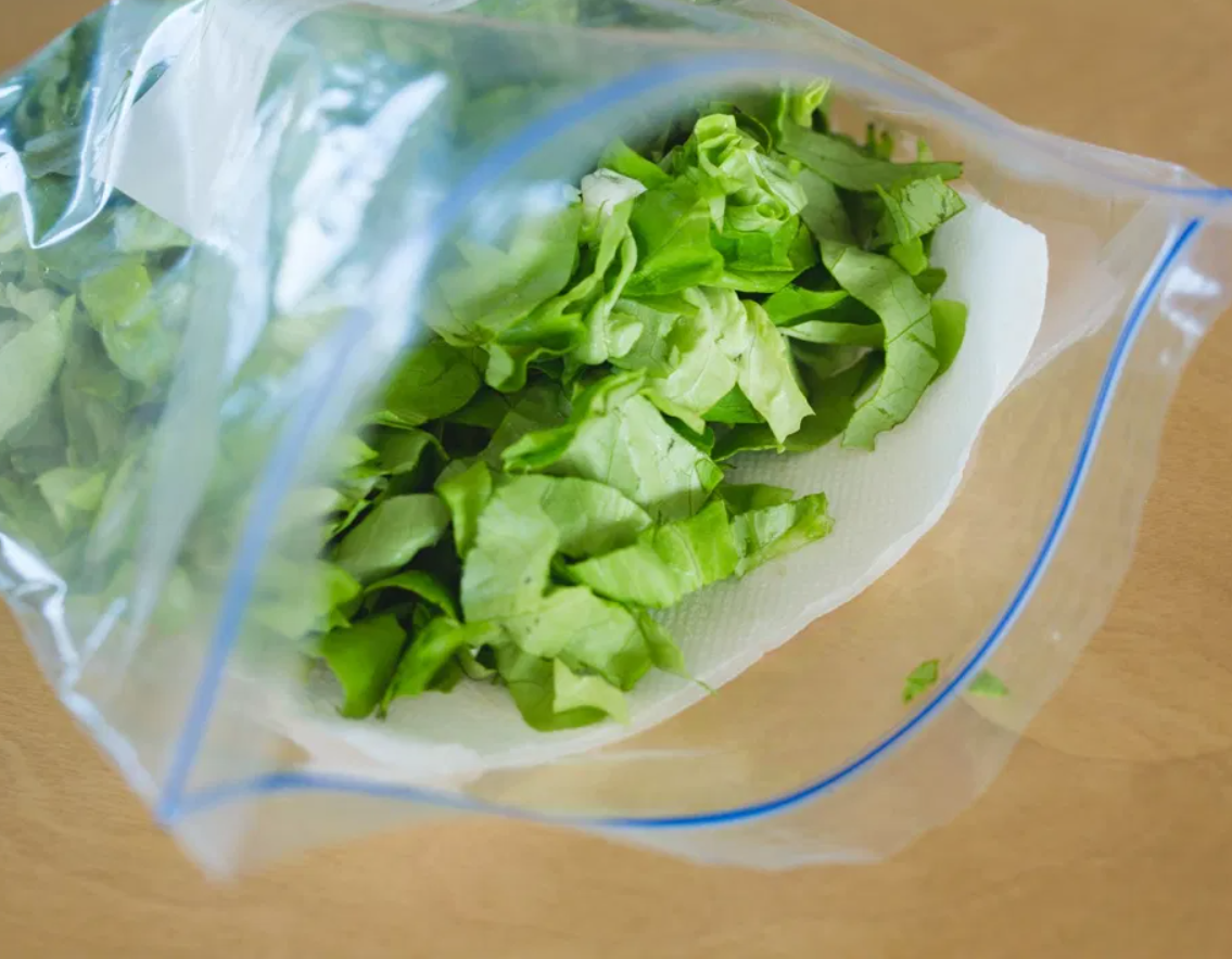 هذه افضل طريقة لحفظ الخس تمنع اهتراء الأوراق