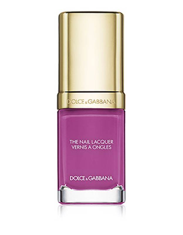 dolce and gabbana dolce and gabbana