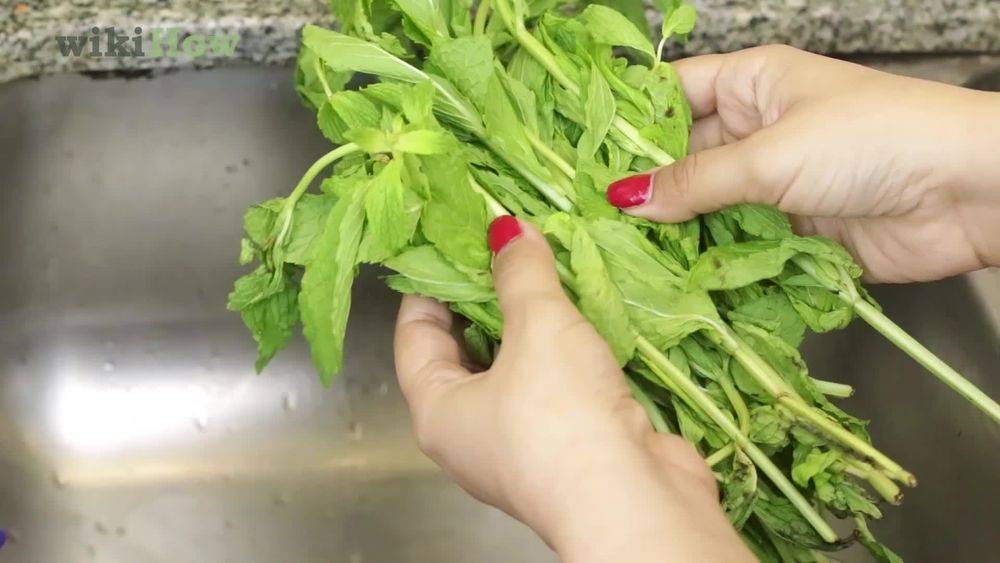 هذه أسهل طرق حفظ النعناع لأطول مدة ممكنة