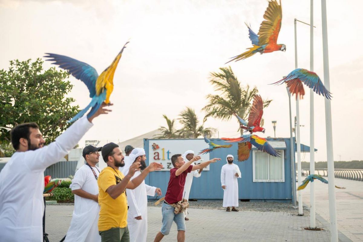 عجمان تستضيف عرضاً حياً للطيور الناطقة في محمية الزوراء الطبيعية