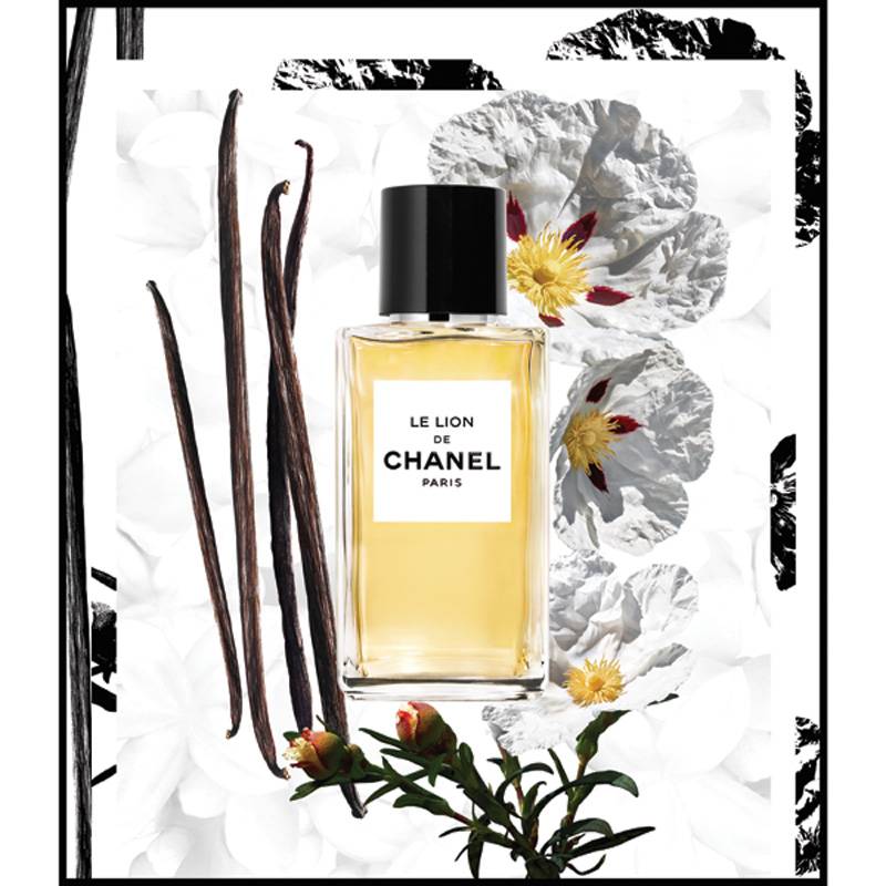 Chanel le lion perfume top